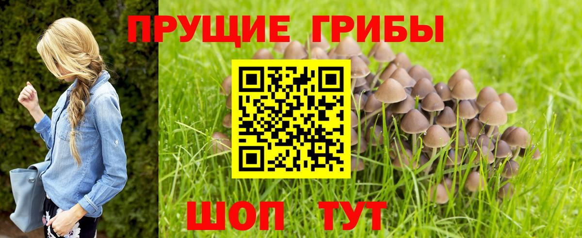 Вязники  Галлюциногенные грибы мухоморы  Галлюциногенные грибы ЛСД  Вход с VPN 