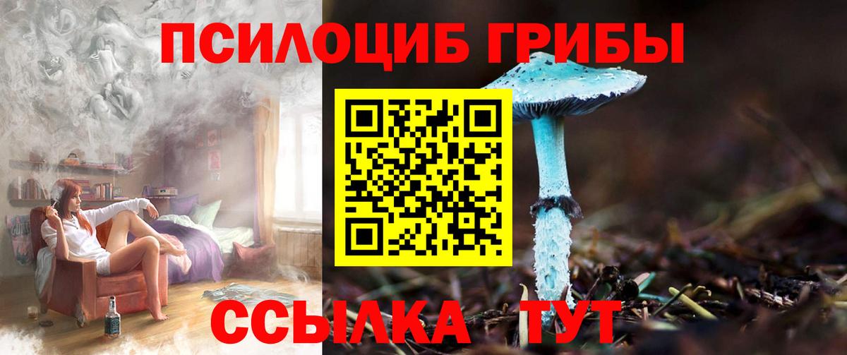Галлюциногенные грибы GOLDEN TEACHER Вязники